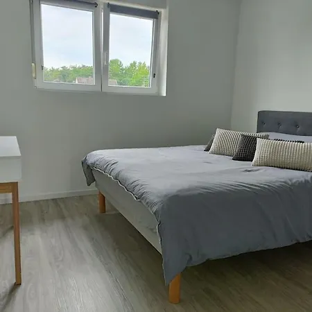Apartment Entier F3 Renove - Petite Pause A Selestat