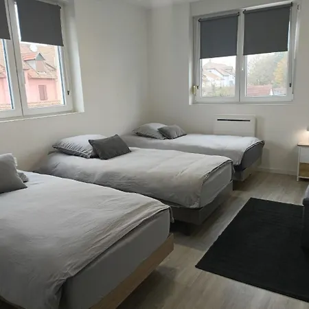 Apartment Entier F3 Renove - Petite Pause A Selestat